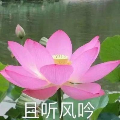 幻游猎人手游百度版下载